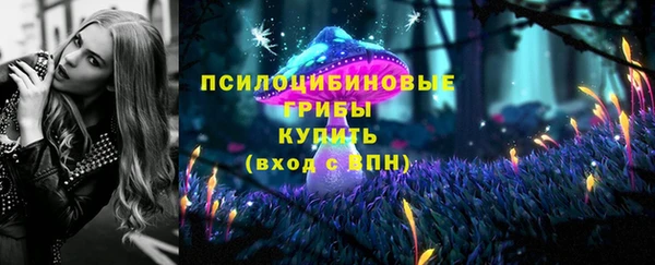 дмт Киреевск