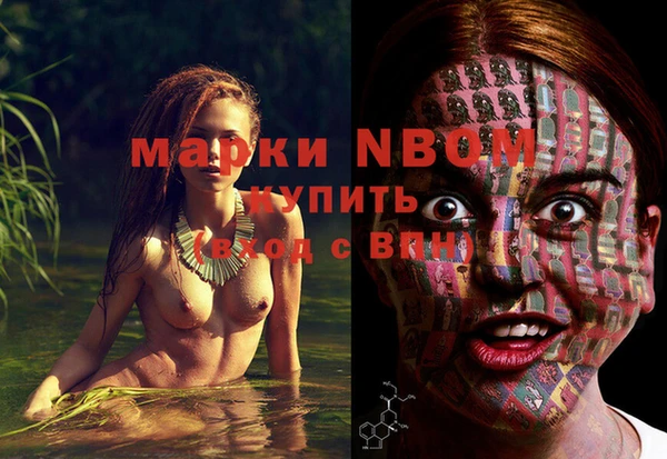 дмт Киреевск